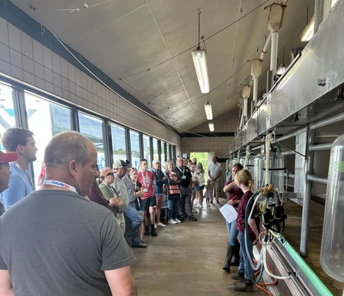 Students are explaining the milking station of a dairy to a group of people. 